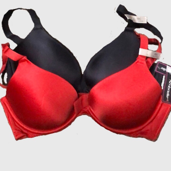 Ambrielle Other - 2 for 1, NWT NEVER WORN Full Figure Ambrielle Bras